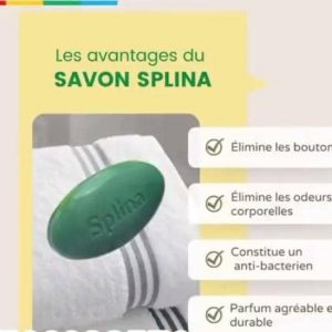 Savon splina