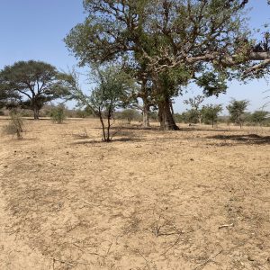 Terrains