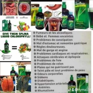 Splina chlorophylle