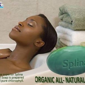 Savon splina