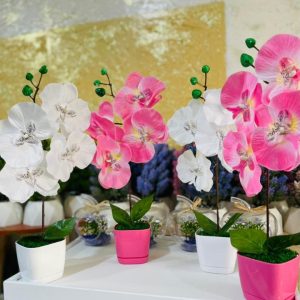 déco maison