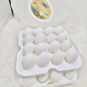 boîte à œuf