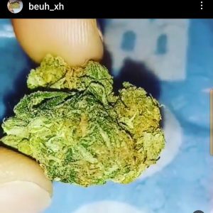 Shitt Verte (beuh)