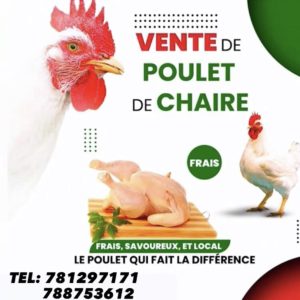 poulet de chaire