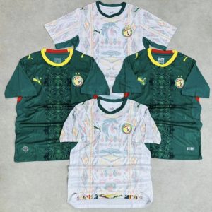 Maillot Sénégal Coupe du Monde